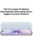 Apple iPhone 17 512 GB Siyah